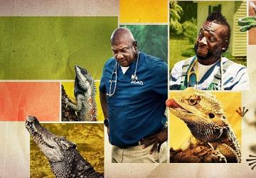 'Veteriner Dostlar Özel', 25 Nisan Cumartesi 20.00 ve 21.00'de İki Bölüm Art Arda National Geographic WILD Ekranlarında İzleyicilerle Buluşuyor!