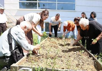 Nilüfer'de yaşlılar fideleri toprakla buluşturdu