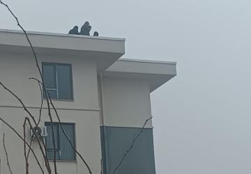 Adıyaman İndere TOKİ’de maaş eylemi: İşçiler çatıya çıktı - Videolu Haber