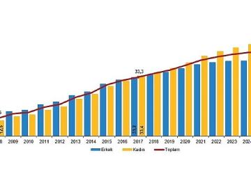 Ulusal Eğitim İstatistikleri, 2025