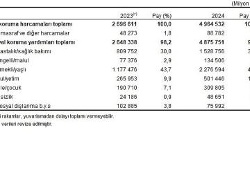 Sosyal Koruma İstatistikleri, 2024