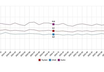İşgücü İstatistikleri, Kasım 2025