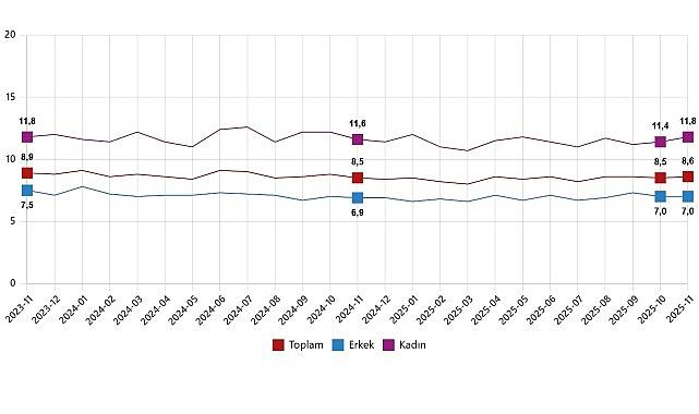 İşgücü İstatistikleri, Kasım 2025