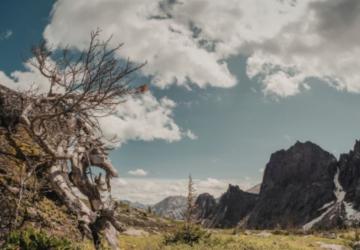 Adıyaman’da 1 Mart Pazar günü hava durumu nasıl olacak?