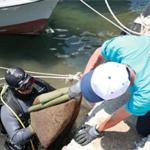 Yeni Foça'da denizden çıkanlar şaşırttı
