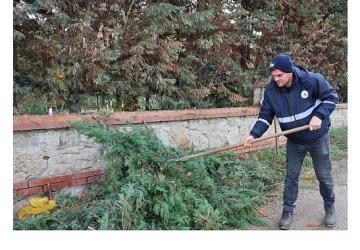 Kartepe'de Mezarlıklara Düzenli Bakım