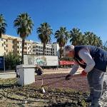 Kemer'de yeşil alanlarda bakım çalışması