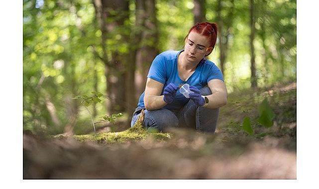 British Council'dan Türkiye'de STEM alanlarında mezun kadın adaylara İngiltere'de tam burslu yüksek lisans fırsatı