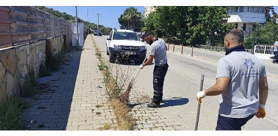 Başkan Çerçioğlu: Tüm Ekiplerimizle 24 Saat Sahadayız