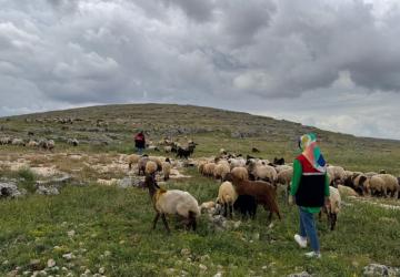 Adıyaman’da Kuyulu ve Akdere köylerinde mera alanları yerinde incelendi
