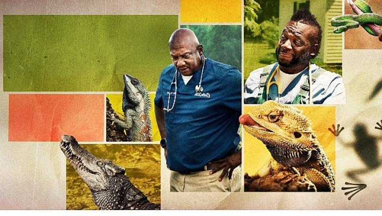 12 Bölümden Oluşan 'Veteriner Dostlar'ın 5. Sezonu, 9 Şubat Pazartesi Saat 20.00'de National Geographic WILD Ekranlarında Başlıyor!