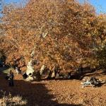 Adıyaman Zeynel Abidin Türbesi kış günlerinde ziyaretçi akınına uğradı - Videolu Haber