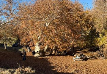 Adıyaman Zeynel Abidin Türbesi kış günlerinde ziyaretçi akınına uğradı - Videolu Haber
