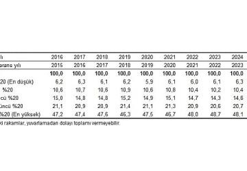 Gelir Dağılımı İstatistikleri, 2025