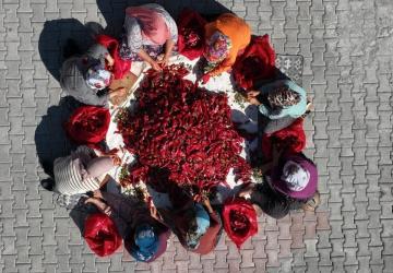 Depreme Rağmen Üretime Devam: Atmalı’nın Kadınları Umut Oluyor