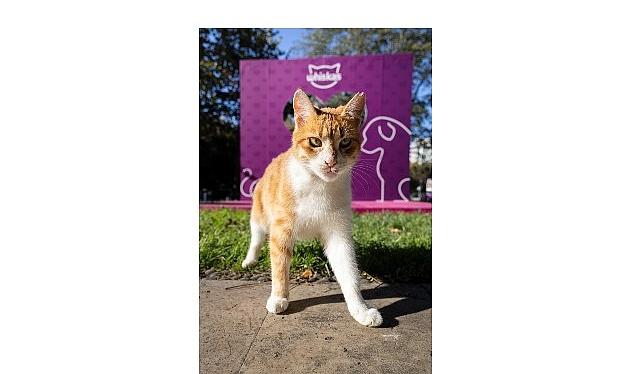 Shane Larkin'den “Gör Beni" Projesi'ne İlham Veren Destek: