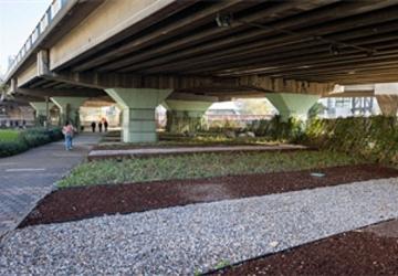 80 futbol sahası büyüklüğündeki alanda dönüşüm tamam