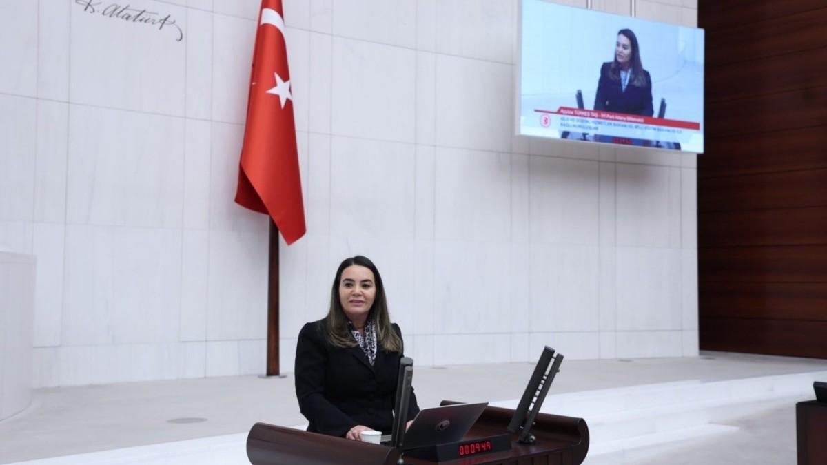 Ayyüce Türkeş’ten Erkan Akçay’a sert tepki