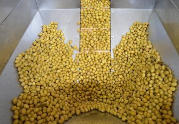 Zeytin ve zeytinyağı sektöründe güçler URGE Projesi'nde birleştirilecek