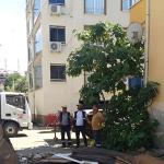 Zabıta ve Temizlik İşleri Ekiplerinden Yaz Sezonu Denetimi