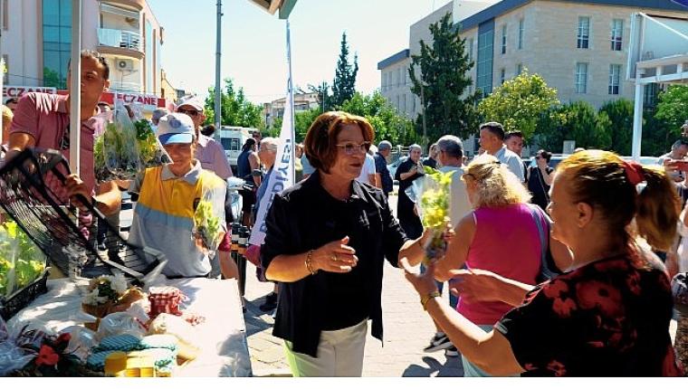 Didim Belediyesi'nden Ücretsiz Fide Dağıtımı