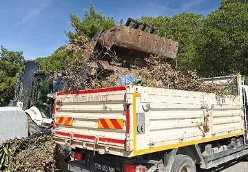 Bornova'da yaz öncesi yangın ve çevre seferberliği
