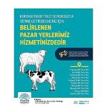 Nilüfer'de kurban kesim yerleri belirlendi