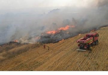 OGM'den Uyarı: “Bayram Sevinci Yeşil Vatanı Yakmasın"