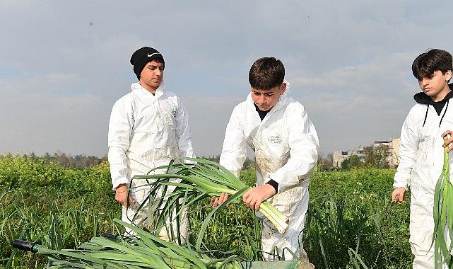 Osmangazi'de Pırasa Hasadıyla Doğallık Sofralara Taşınıyor