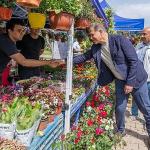 Çiçek gibi İzmir