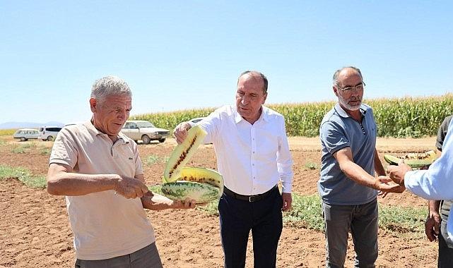 Çumra'nın Sarı İçli “Tatar Karpuzu" Yeniden Gündemde