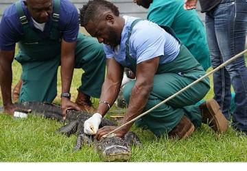 'Veteriner Dostlar: En İyiler', 30 Mayıs Cumartesi Saat 21.00'de National Geographic WILD Ekranlarında!