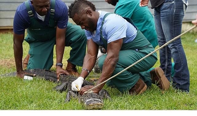 'Veteriner Dostlar: En İyiler', 30 Mayıs Cumartesi Saat 21.00'de National Geographic WILD Ekranlarında!