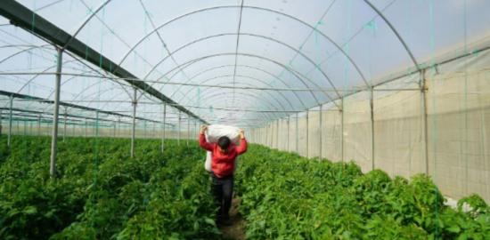 Adıyaman’da Sera Projesi için başvurular devam ediyor