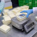 Büyükşehir'den peynir hamlesi