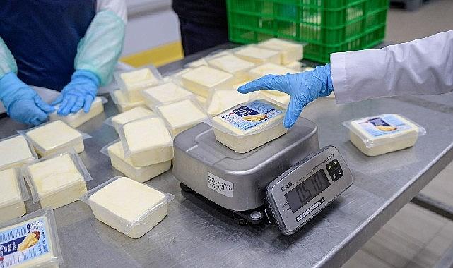 Büyükşehir'den peynir hamlesi