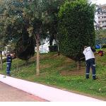 Büyükşehir'den yeşil alanlara özel bakım