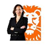 ING Türkiye'de üst düzey atama