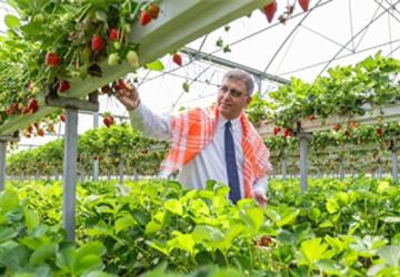 İzmir Büyükşehir Belediyesi üreticiye desteğini sürdürdü