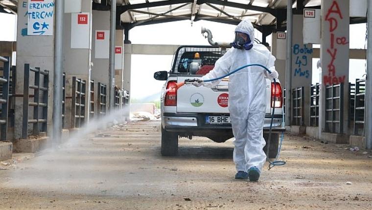 Osmangazi'de Kurban Pazarları İlaçlanarak Dezenfekte Edildi