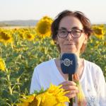 ADIYAMAN (PHA) - Murat KAYIŞ - Adıyaman Fotoğraf Topluluğu (AFOT), Perre Off-Road Kulübü ve 02 Kamp Kulübü’nün organizasyonuyla düzenlenen kültürel ve doğa temalı fotoğraf gezisi, Gölbaşı’nın doğal ve tarihi güzellikleri...