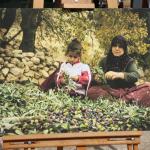 ADIYAMAN (PERRE) - 
Şeriban ÖZÇAKMAK - Adıyaman Fotoğraf Topluluğu, 4'üncü "7 Renk Gençlik Festivali"nde sunduğu fotoğraf sergisiyle sanatseverlerle bir araya geldi.