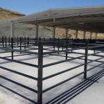 ADIYAMAN (PHA) - 
Fatma Didar YILDIRIM - Adıyaman Belediye Başkanı Abdurrahman Tutdere’nin seçim vaatlerinden biri olan ve sosyal belediyecilik anlayışının somut bir örneği olarak hayata geçirilen Modern Hayvan Pazarı ve...