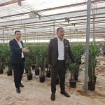 ADIYAMAN (PERRE) - Mustafa KAMIŞ - Adıyaman İl Genel Meclisi Daimi Encümen Üyesi Turan Yıldırım, Kahta ilçesinde faaliyet gösteren süs bitkileri serasını ziyaret etti.