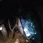 ADIYAMAN (PHA) - Şeriban ÖZÇAKMAK – Adıyaman’ın Besni ilçesinde, otomobil sürücüsünün direksiyon hakimiyetini kaybetmesi sonucu, 2 kişi yaralandı.