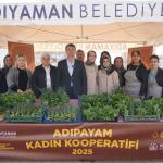 ADIYAMAN (PERRE) - Şeriban ÖZÇAKMAK - Adıyaman Belediyesi'nin Yenimahalle'deki 10 dönümlük üretim alanında yetiştirilen sebzelerin hasadı başladı.