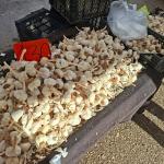 ADIYAMAN (PERRE) - Berfin GÜRBÜZ-Sibel TURAN - Adıyaman'da kurulan semt pazarlarında fiyat hareketliliği sürüyor.