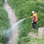 ADIYAMAN (PERRE) - Şeriban ÖZÇAKMAK - Kahta Belediyesi, yaz ayları öncesinde sivrisinek, karasinek ve diğer zararlılara karşı ilçe genelinde ilaçlama çalışmalarını hızlandırdı.