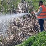 ADIYAMAN (PERRE) - Şeriban ÖZÇAKMAK - Kahta Belediyesi, yaz ayları öncesinde sivrisinek, karasinek ve diğer zararlılara karşı ilçe genelinde ilaçlama çalışmalarını hızlandırdı.