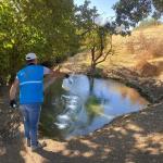 ADIYAMAN (PHA) - Adıyaman Belediyesi Park ve Bahçeler Müdürlüğü, kent merkezinde sürdürdüğü ilaçlama çalışmalarına sonbahar ayarında da aralıksız devam ediyor.